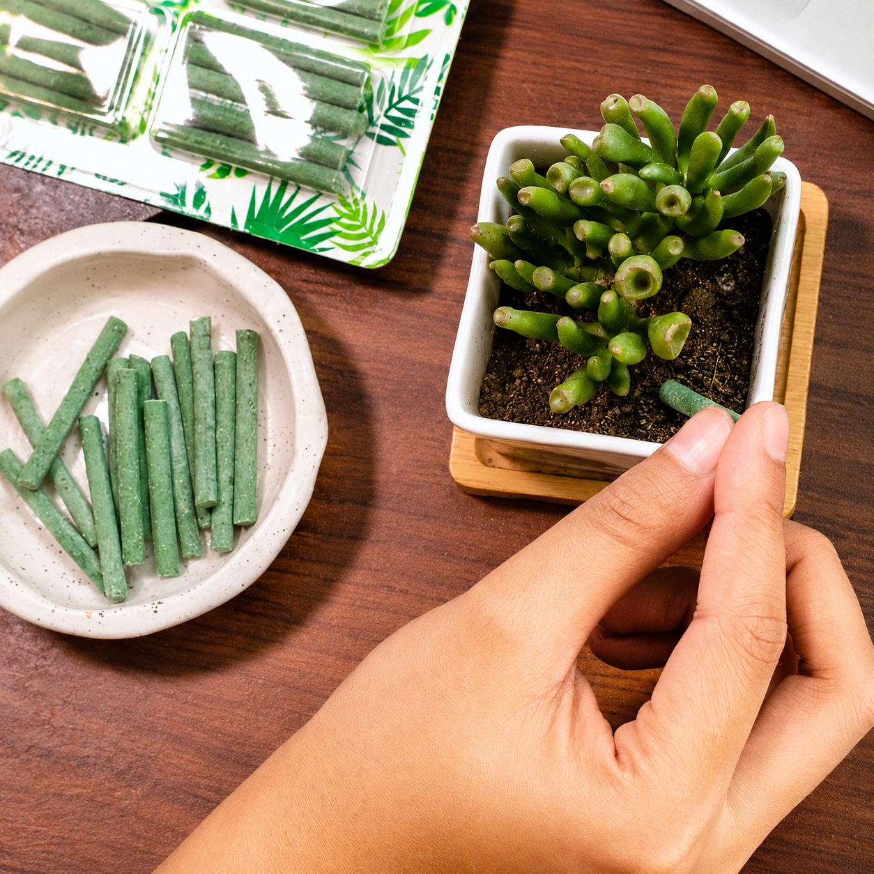 Dr.Green's - Magic Plant Sticks - 25 sticks
