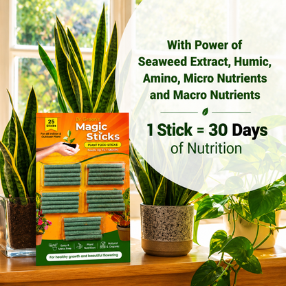 Dr.Green's - Magic Plant Sticks - 25 sticks