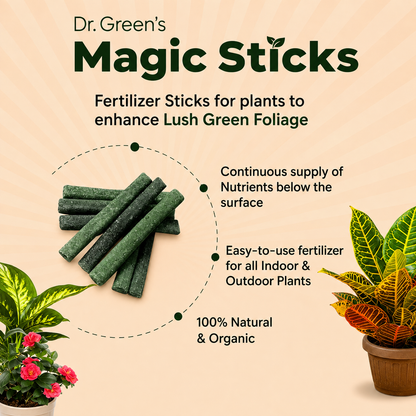 Dr.Green's - Magic Plant Sticks - 25 sticks
