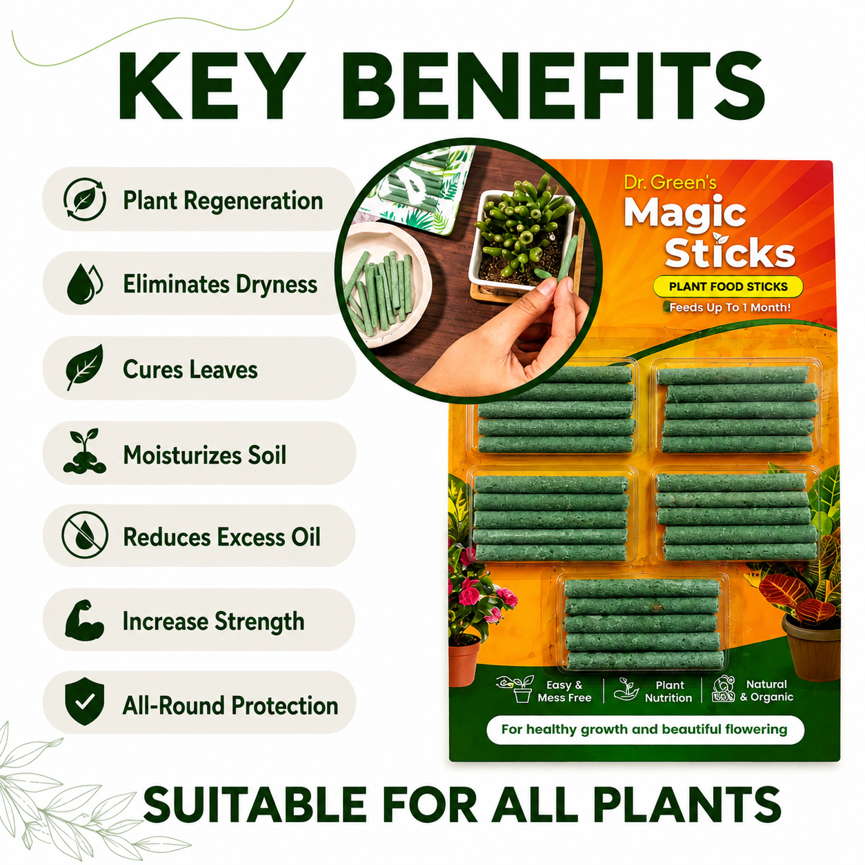 Dr.Green's - Magic Plant Sticks - 25 sticks