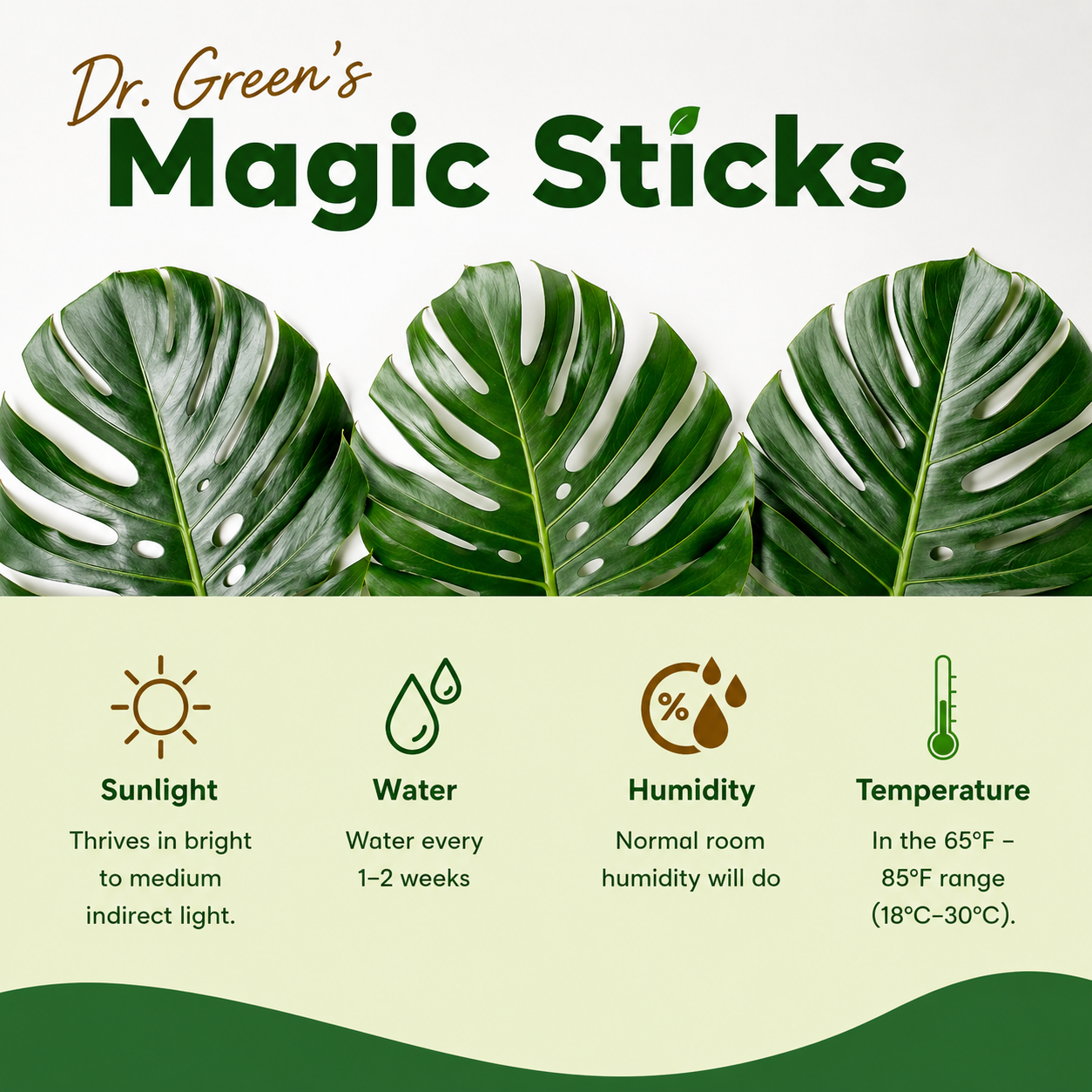 Dr.Green's - Magic Plant Sticks - 25 sticks